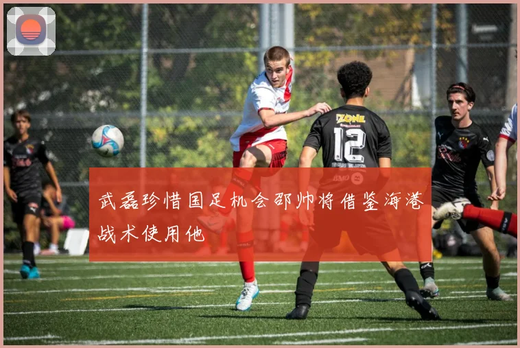 武磊珍惜国足机会邵帅将借鉴海港战术使用他