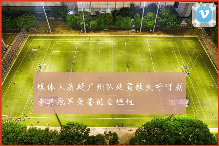 媒体人质疑广州队处罚缺失呼吁剥夺其冠军荣誉的合理性