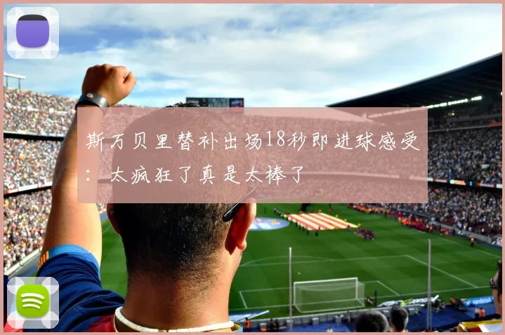 斯万贝里替补出场18秒即进球感受：太疯狂了真是太棒了
