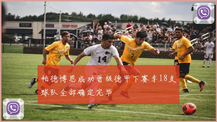 帕德博恩成功晋级德甲下赛季18支球队全部确定完毕